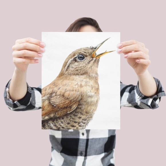 Watercolor Wall Art Wren Bird Illustration Print Poster Unframed - Picture 6 of 9